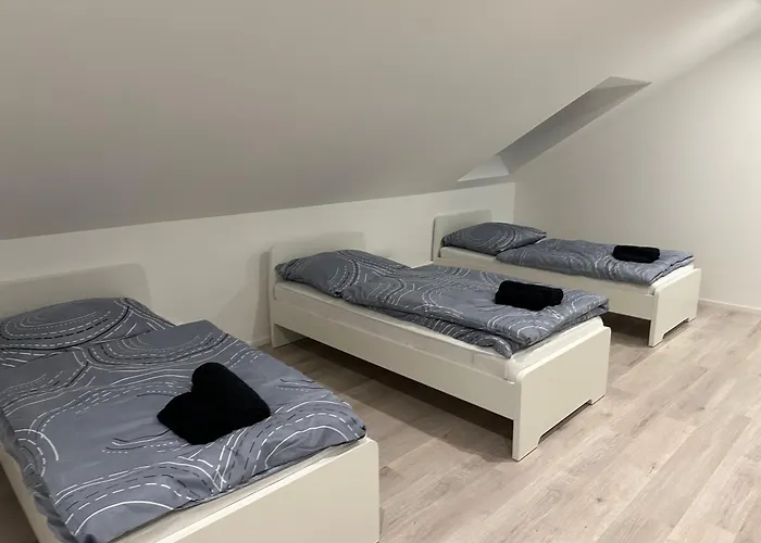 Max * Freudenburg (Rhineland-Palatinate)